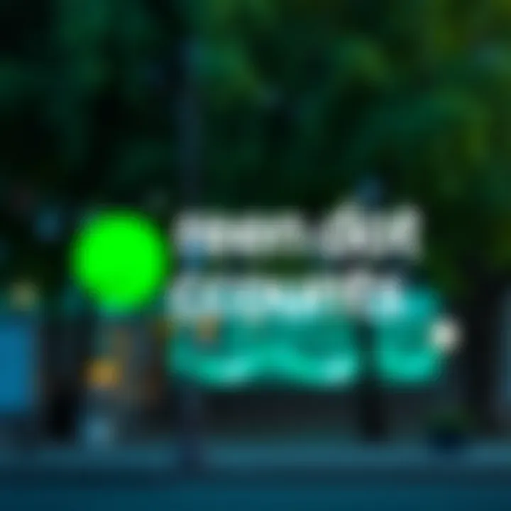 Magnificent Understanding Green Dot Accounts: Features and Benefits Magnificent Understanding Green Dot Accounts: Features and Benefits