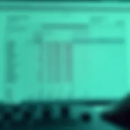 A detailed cash flow spreadsheet layout highlighting various components