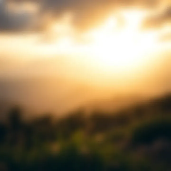 Journey of Investment A serene landscape representing the journey of investment