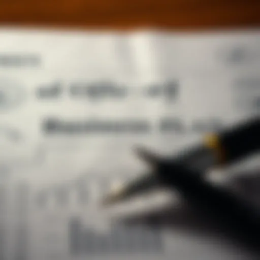 Structure of a Business Plan A structured layout of a business plan document