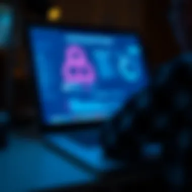 Risks associated with online credit report access