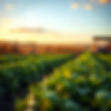 Exploring Agricultural Commodities Funds: An Investment Perspective Introduction Exploring Agricultural Commodities Funds: An Investment Perspective Introduction