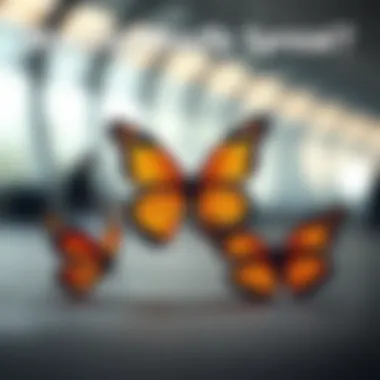 Comparison of Butterfly Spread Types Detailed comparison of various butterfly spreads