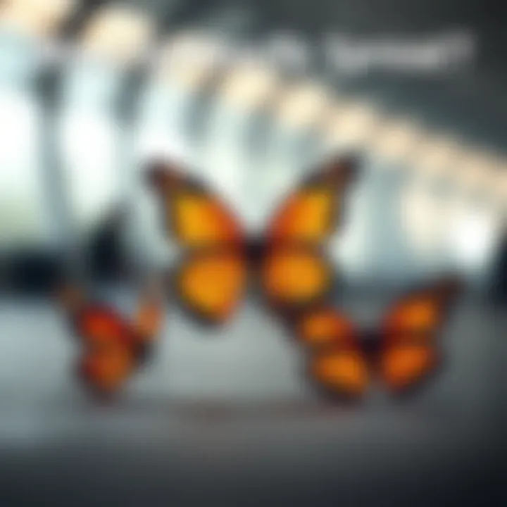 Comparison of Butterfly Spread Types Detailed comparison of various butterfly spreads