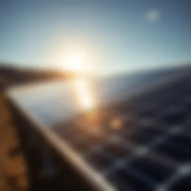 Solar energy panels harnessing sunlight