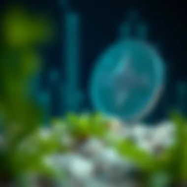 Visual representation of Terra stablecoin's blockchain technology