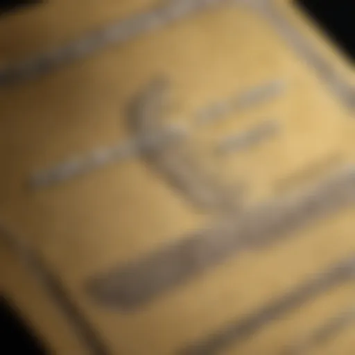 A close-up view of the American Express Gold Card highlighting its unique texture.