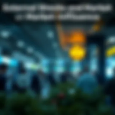 Chart depicting external shocks and their influence on markets