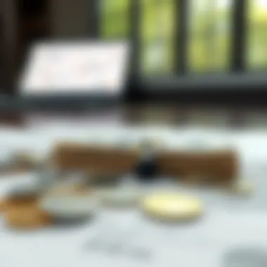 Factors Influencing Borrowing Capabilities Factors influencing borrowing capabilities