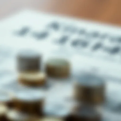 Interest Calculation Explained Conceptual representation of interest calculation