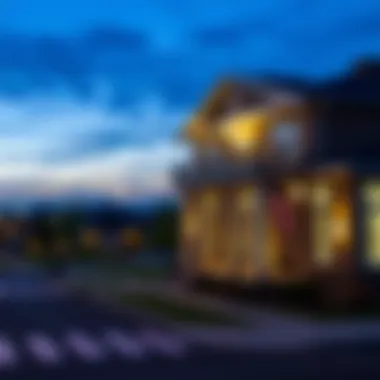 Understanding No Income Verification Loans: A Comprehensive Guide Summary
