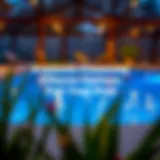 Detailed overview of pool construction financing options